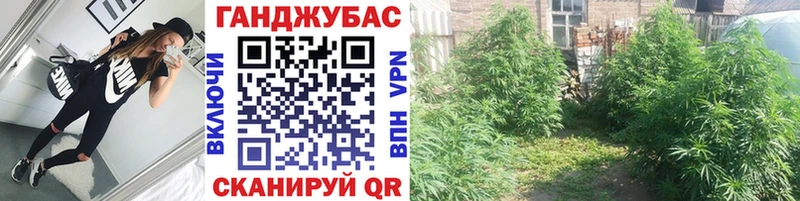Продажа наркотиков Вяземский Кокаин мега tor МЕФ