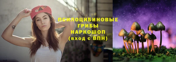 винт Баксан