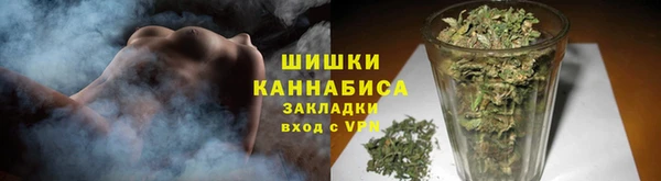 ПСИЛОЦИБИНОВЫЕ ГРИБЫ Балахна