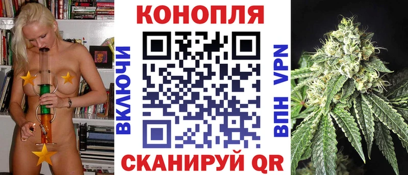 МАРИХУАНА ГИДРОПОН  наркошоп  Вяземский 